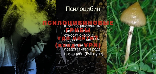 кокаин премиум Алексеевка