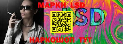 гашик Берёзовский