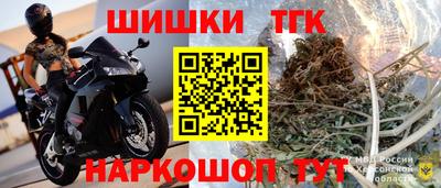 гашик Берёзовский