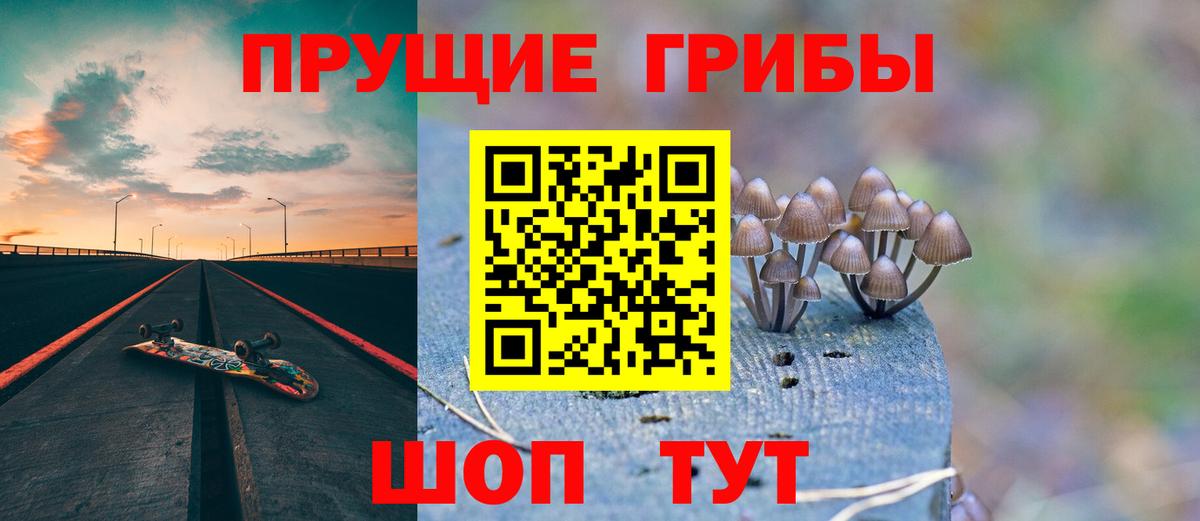 Березники  Псилоцибиновые грибы мицелий  Вход с VPN  Псилоцибиновые грибы Psilocybine cubensis 