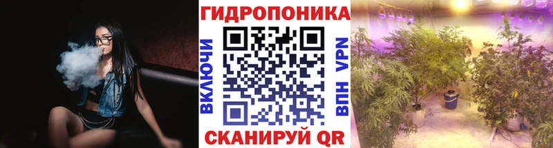 дарнет шоп  Березники  Конопля марихуана 